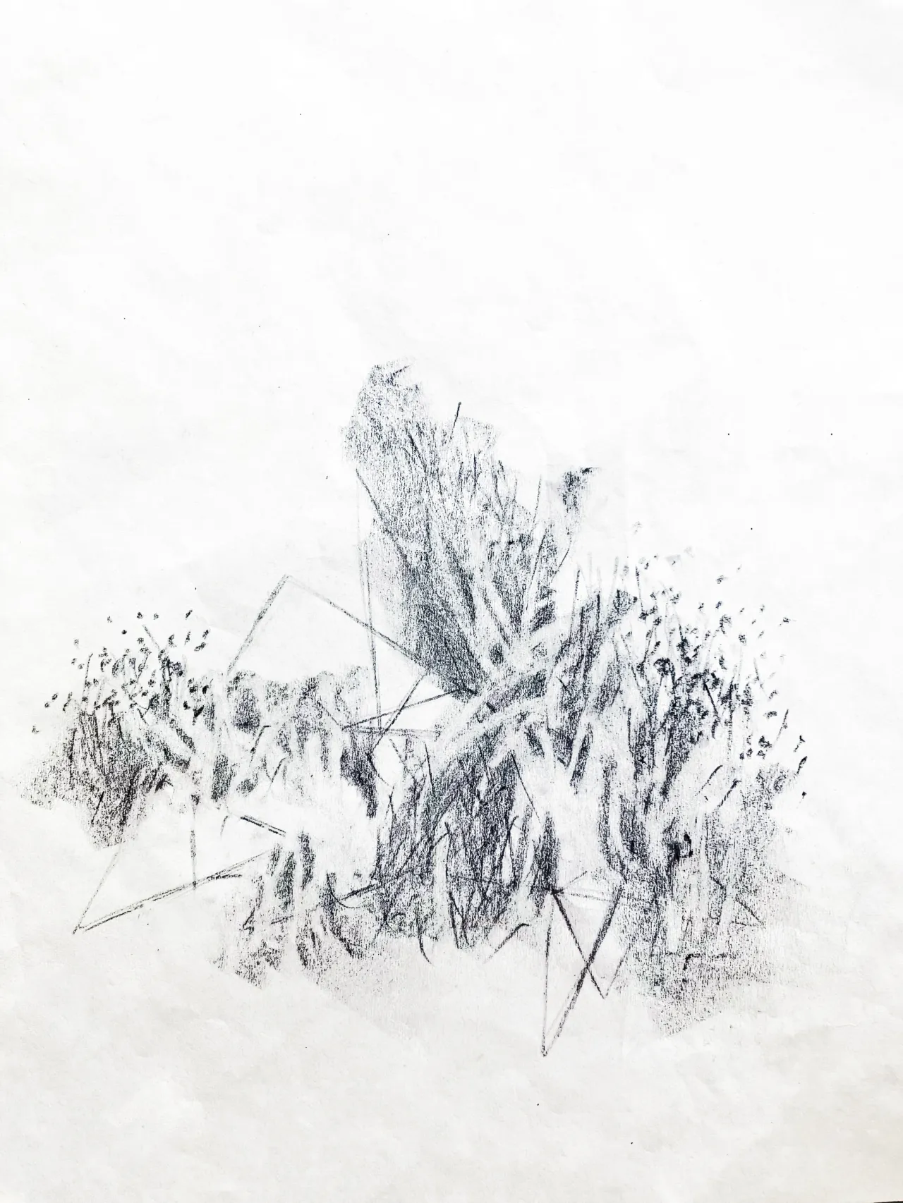Paintings & Drawings - 